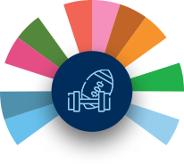 Curriculum Icon